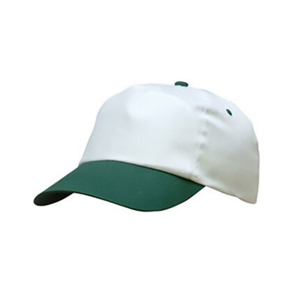 Casquette Baseball Retro Bicolore Blanc et Vert