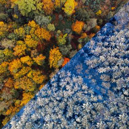 Automne - Hiver